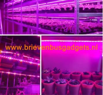 Groeilamp in ledstrip voor planten (1 meter) beschikbaar voor biedingen