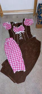 Tiroler Jurkje Maat 40 - Carnaval, Ophalen of Verzenden, Carnaval