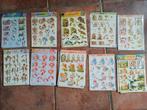 3D knipvellen, 10 verschillende (deel 11), Ophalen of Verzenden, Nieuw, Versiering of Embellishment