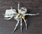 Papo Wild Life Tarantula - 2016, Verzamelen, Dierenverzamelingen, Ophalen of Verzenden, Gebruikt, Wild dier, Beeldje of Figuurtje