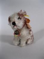 Antiek Steiff hondje Molly met knopje en labels, 10 cm hoog., Ophalen of Verzenden