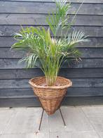 Rieten puntmand in metalen houder - Vintage jaren 60-70, Ophalen, Gebruikt, Mand, Riet