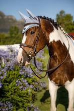 LeMieux Loire Oornetje Mist Full SALE!, Ophalen of Verzenden, Nieuw, Dressuur