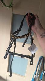 Hoofdstel + zadel (mini) shet, Ophalen of Verzenden, Zo goed als nieuw, Overige soorten