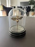 Decoratieve glazen stolp met gouden bij (Westwing), Ophalen, Zo goed als nieuw