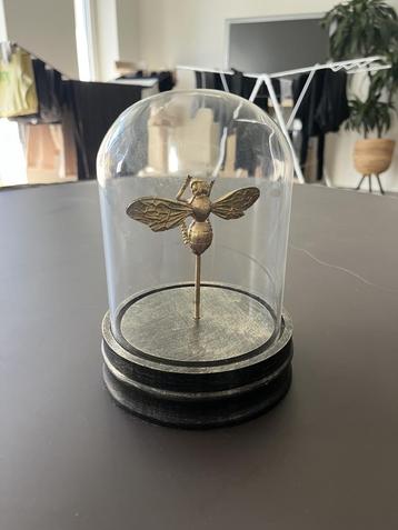 Decoratieve glazen stolp met gouden bij (Westwing) beschikbaar voor biedingen