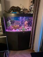 Aquarium met spullen complete  cm breed 143   hoog cm hoog 1, Ophalen of Verzenden, Zo goed als nieuw, Leeg aquarium