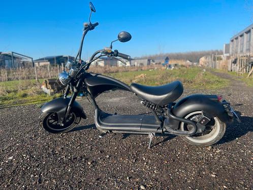 E-Chopper Mangosteen M1 - Elektrisch, Fietsen en Brommers, Snorfietsen en Snorscooters, Gebruikt, Overige merken, Elektrisch, Ophalen
