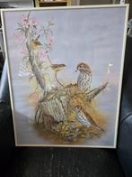 Ingelijste print van Rouane Manning : Vogels 40x50cm, Ophalen, Minder dan 50 cm, Gebruikt, 50 tot 75 cm