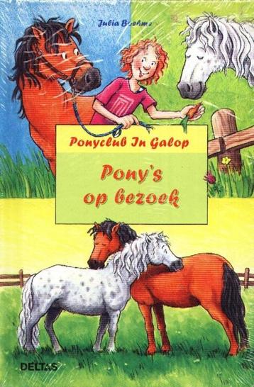 Pony's op bezoek - Ponyclub in galop - Julia Boehme beschikbaar voor biedingen