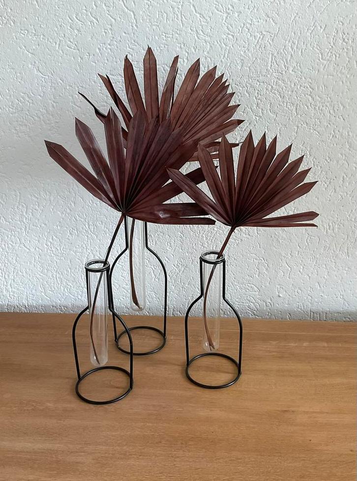 3 vaasjes met zwart metalen frame, Huis en Inrichting, Woonaccessoires | Vazen, Zo goed als nieuw, Zwart, Minder dan 50 cm, Ophalen of Verzenden