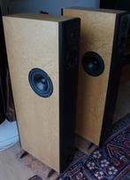 Audio Physic Virgo 1, Gebruikt, 120 watt of meer, Front, Rear of Stereo speakers, Ophalen