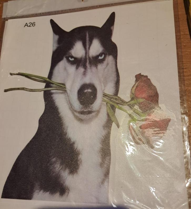 Div husky stickers, Verzamelen, Stickers, Nieuw, Dier en Natuur, Ophalen