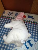 Evora witte ijsbeer met kind knuffel 26.5 cm groot, Ophalen of Verzenden