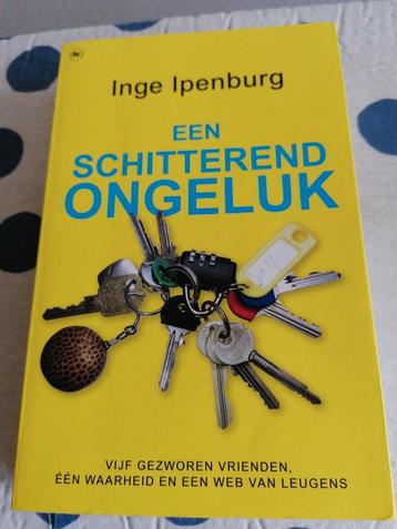 Inge Ipenburg - Een schitterend ongeluk beschikbaar voor biedingen