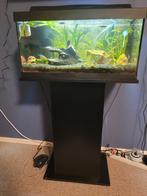 Tetra starter line aquarium, Ophalen, Zo goed als nieuw, Leeg aquarium