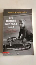 Jannetje Koelewijn - De hemel bestaat niet, Boeken, Ophalen of Verzenden, Zo goed als nieuw, Jannetje Koelewijn