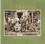 The Waterboys - Fisherman's Blues, Ophalen of Verzenden, 1980 tot 2000, Zo goed als nieuw
