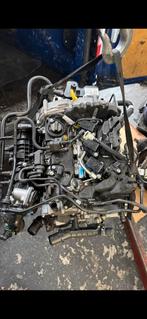 Motor Ford Fiesta/Focus 1.0 ecoboost 2022 B7JB €2200,-, Auto-onderdelen, Motor en Toebehoren, Gebruikt, Ford, Colorado, Ophalen of Verzenden