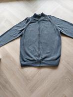 SUPER MOOI GRIJS VEST MAAT XXL, Kleding | Heren, Grote Maten, Ophalen of Verzenden, Zo goed als nieuw, Grijs, Trui of Vest