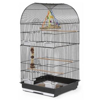 Keddoc Vogelkooi Budgie Tower

 beschikbaar voor biedingen