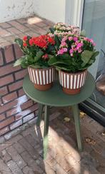 Groene plantenstandaard / tafeltje, Tuin en Terras, Bloembakken en Plantenbakken, Ophalen, Kunststof, Minder dan 30 cm, Minder dan 60 cm