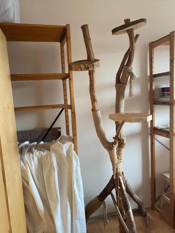 2x klimboom krabpaal kat kitten - OPHALEN VOOR 28 JUNI! beschikbaar voor biedingen