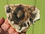 Versteend hout schijf plak dubbel gepolijst mineralen 8, Ophalen of Verzenden, Mineraal