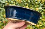 Bonsai schaal blauw geglazuurd Japans 22,5x14,8x6,6, Tuin en Terras, Bloempotten, Ophalen of Verzenden, Zo goed als nieuw, Minder dan 25 cm