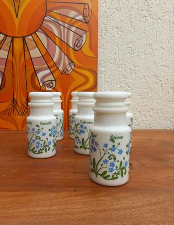 Italiaanse kruidenpotjes. Cerve. Italy. Vintage beschikbaar voor biedingen