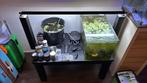 Garnalen kweekstelling met alles erbij, Ophalen, Gevuld zoetwateraquarium