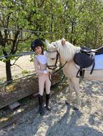 A-Pony te koop - Palemino (Sjimmy), Dieren en Toebehoren, Paarden, Gechipt, Springpaard, Minder dan 160 cm, Ruin