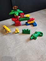 Duplo set animal friends, Kinderen en Baby's, Speelgoed | Duplo en Lego, Duplo, Gebruikt, Ophalen of Verzenden