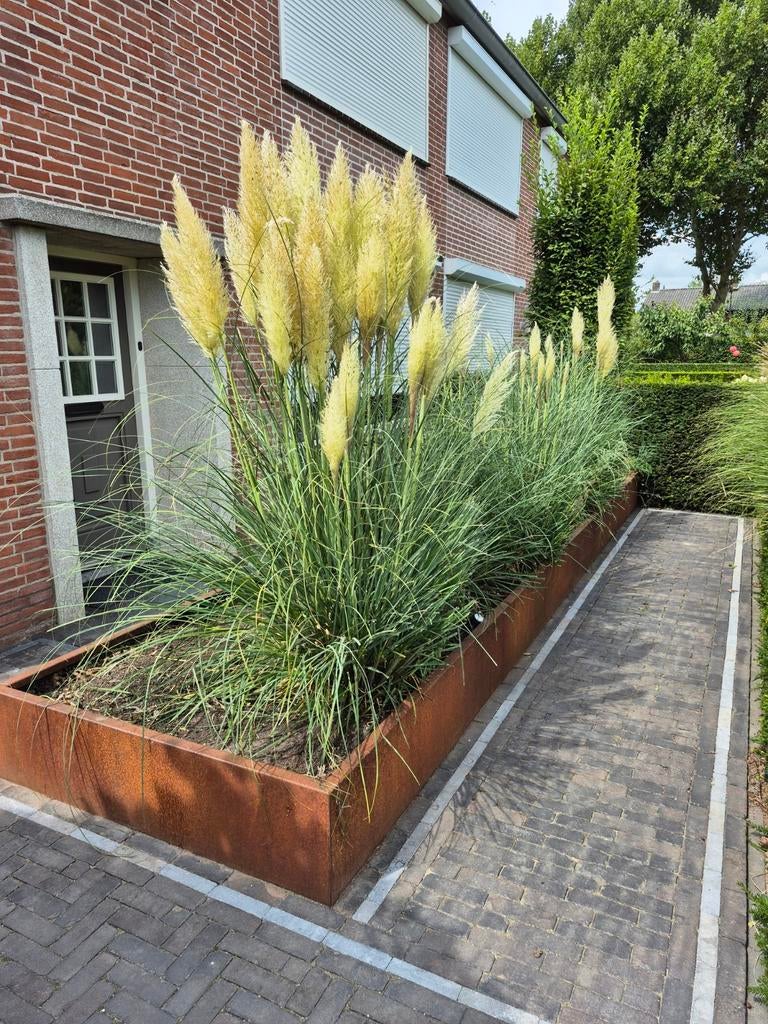 Cortenstaal, Tuin en Terras, Bloembakken en Plantenbakken, Nieuw, Metaal, Tuin, 60 cm of meer, 100 cm of meer, Overige vormen