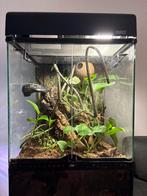 Exo Terra 46x46x60 cm, Dieren en Toebehoren, Reptielen en Amfibieën | Toebehoren, Ophalen, Terrarium of Paludarium
