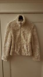 Bontjasje - Maat S - Nep - Imitatie bontjas, Kleding | Dames, Ophalen of Verzenden, Gedragen, Maat 36 (S), Carnaval