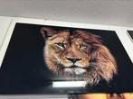 Leeuw schilder op plexiglas 90x60 cm, Nieuw, Ophalen of Verzenden