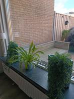 PTMD bloempotten set, Tuin en Terras, Bloempotten, Ophalen, Gebruikt, Rond, Aardewerk