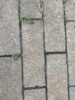 Waaltjes stenen, Tuin en Terras, Tegels en Klinkers, Ophalen, Zo goed als nieuw, Beton, Klinkers