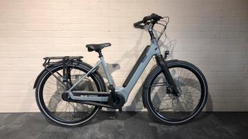 Frappé B7 dames 50cm nieuw - demo beschikbaar voor biedingen