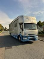 Iveco Eurocargo Occasion paardevrachtwagen voor 5 paarden pl, Auto's, 275 pk, Overige kleuren, Bedrijf, Te koop