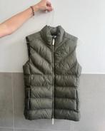 Gloednieuwe bodywarmer van Ps of Sweden, Dieren en Toebehoren, Paardrijkleding, Dressuur, Nieuw, Ophalen of Verzenden, Dames