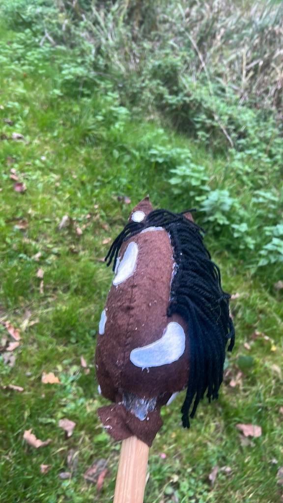 Hebbyhorse bijrijder gezocht!!!!!!, Dieren en Toebehoren, Paarden en Pony's | Verzorgingsproducten, Ophalen of Verzenden