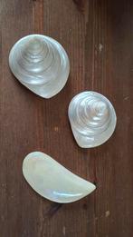 Schelpen parelmoer, Ophalen of Verzenden, Schelp(en)