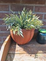 Terra cotta wand plantpot, Ophalen of Verzenden