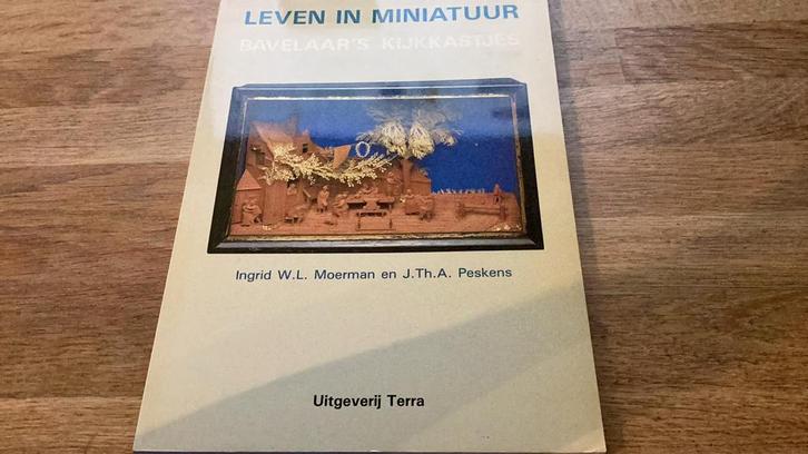 Bavelaar’s kijkkastjes leven in miniatuur ingrid moesman 4,-, Boeken, Kunst en Cultuur | Beeldend, Gelezen, Ophalen of Verzenden