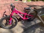 Te Koop: Meisjes MTB Specialized Riprock 20inch Kinderfiets, Ophalen, Gebruikt, 20 inch of meer, Specialized