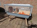 Hamster kooi, Kooi, Gebruikt, Ophalen, Minder dan 60 cm