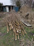 Wilgen takken, Ophalen