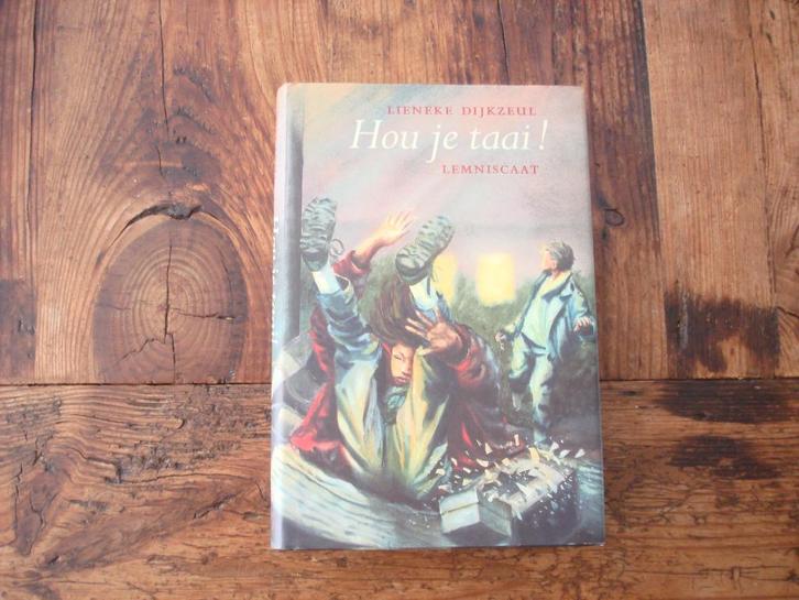 DD.(960) hou je taai ! door lienke dijkzeul, een  lemniscaat, Boeken, Kinderboeken | Jeugd | onder 10 jaar, Zo goed als nieuw